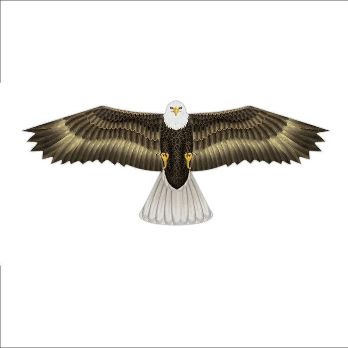 In the Breeze Birds of Prey Kites