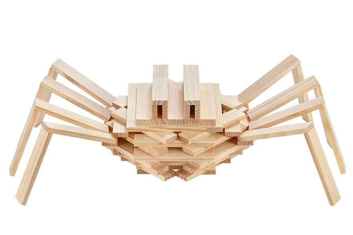 KAPLA - The Spider Case 75 Piece