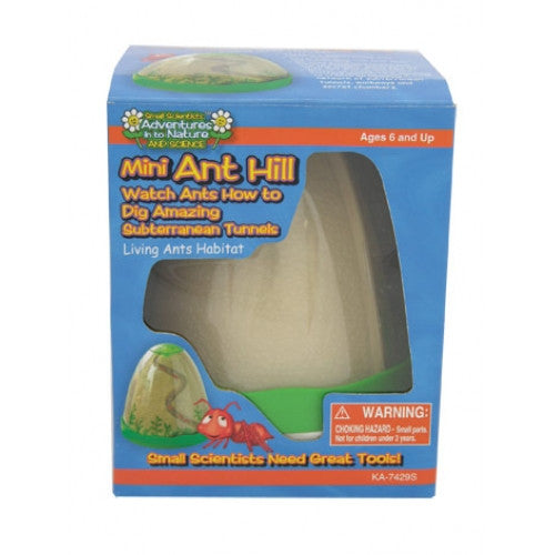 Mini Ant Hill