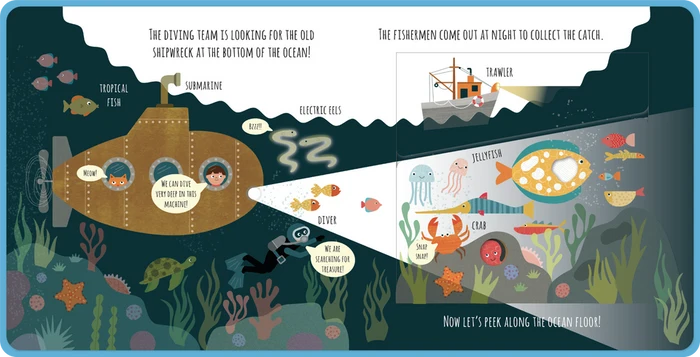 Peek Inside The Ocean Book