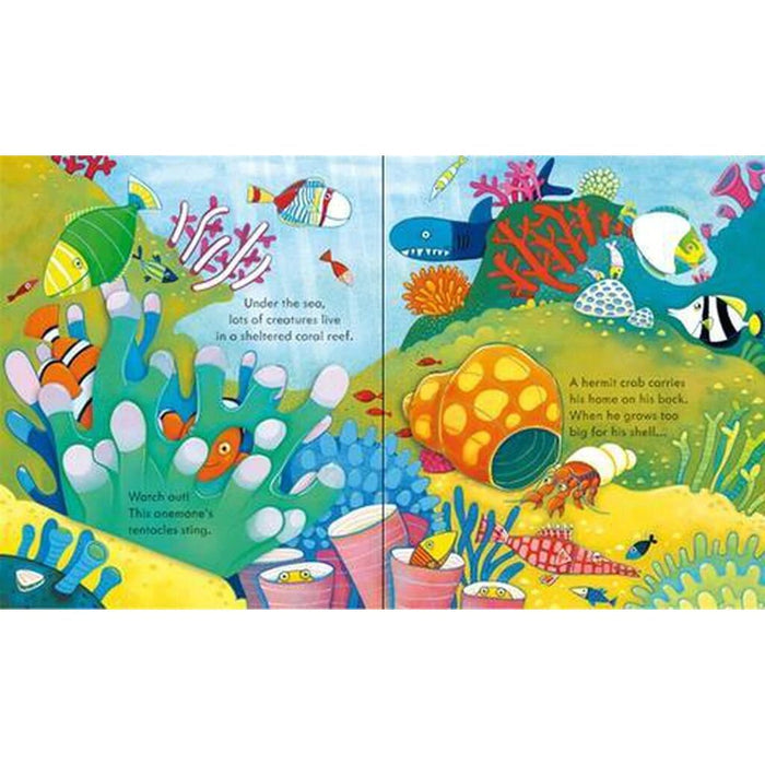 Peep Inside The Sea (Board Book)