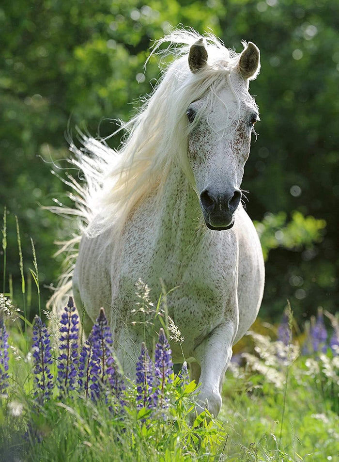 Ravensburger - 100Pc Horse in Flowers Puzzle