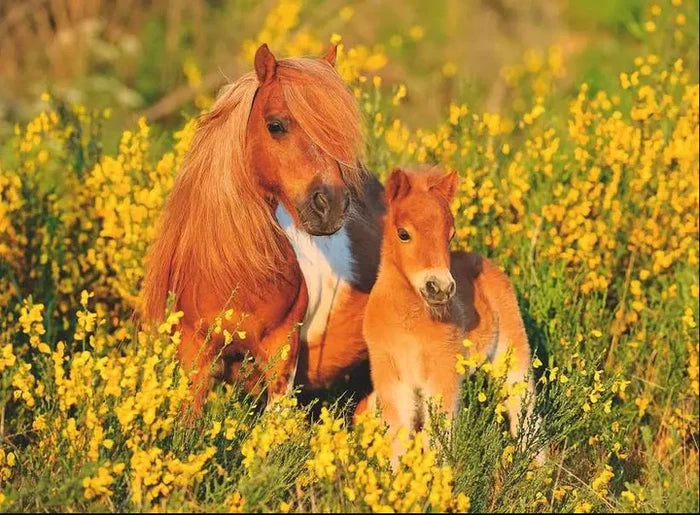 Ravensburger - 100Pc Shetland Ponies Puzzle