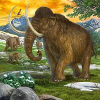 Ravensburger - 3x49pc Primeval Ruler Puzzle