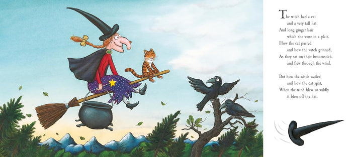 Room On The Broom Book