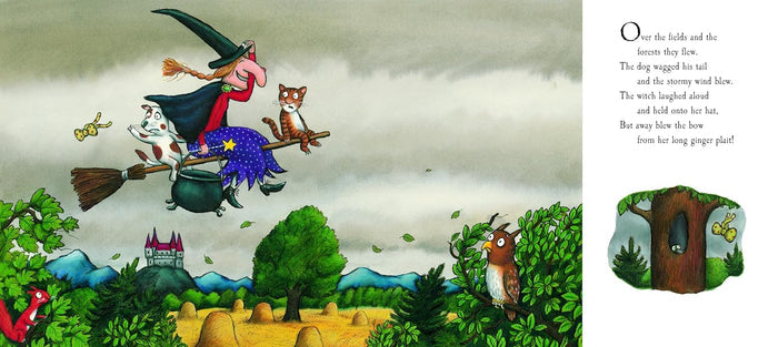 Room On The Broom Book