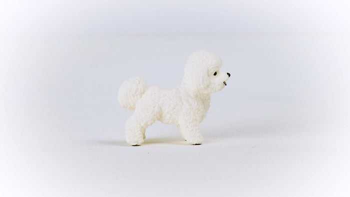 Schleich - Bichon Frise