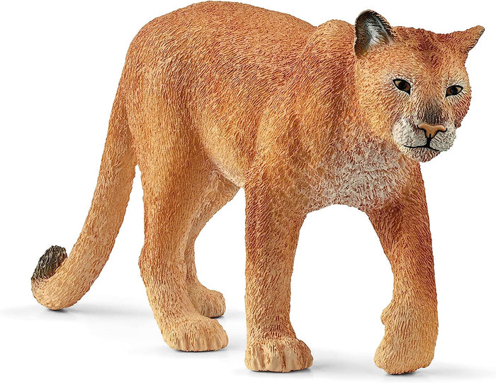 Schleich - Cougar'