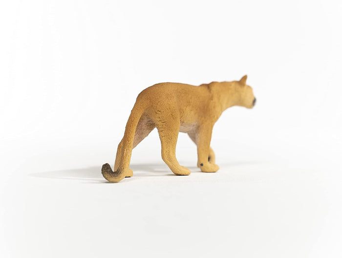 Schleich - Cougar