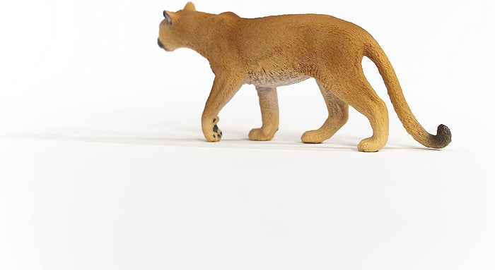 Schleich - Cougar