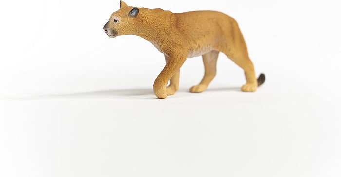 Schleich - Cougar