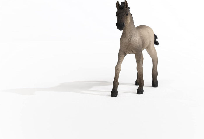 Schleich - Criollo Definitivo Foal