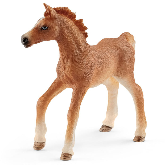 Schleich - Foal with Blanket