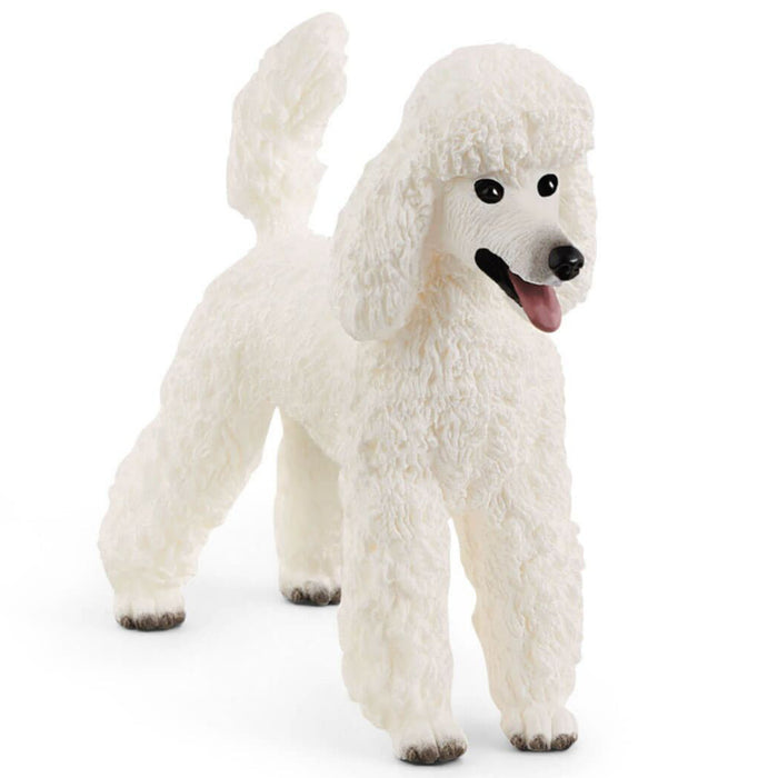 Schleich - Poodle