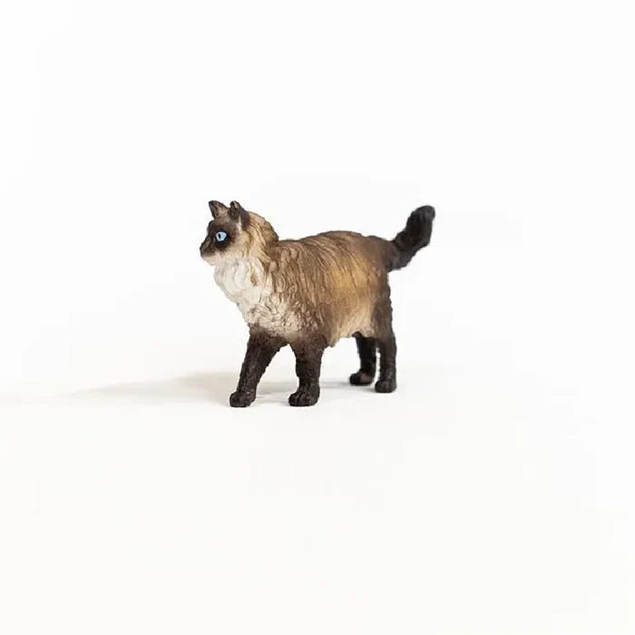 Schleich - Ragdoll Cat