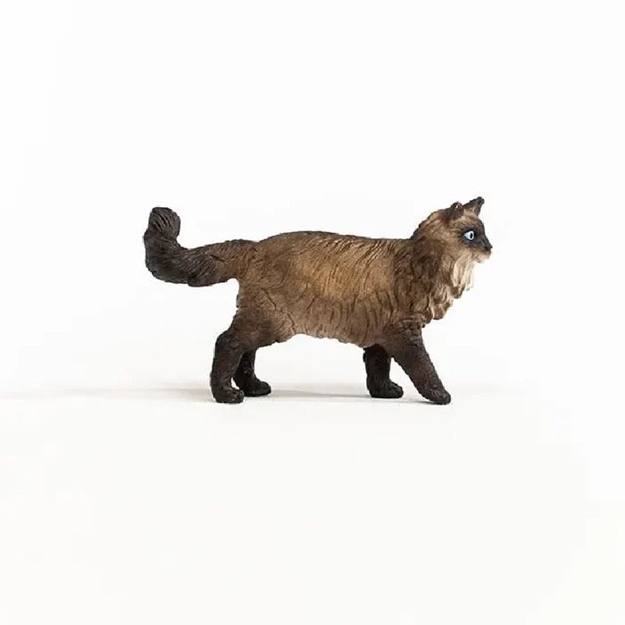 Schleich - Ragdoll Cat