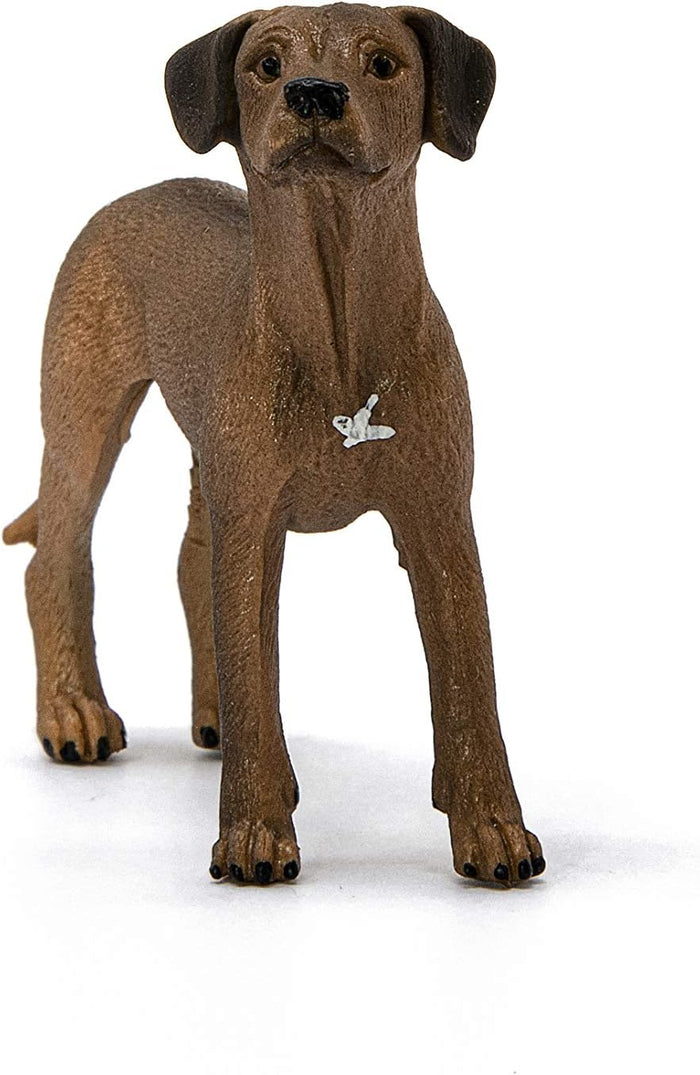 Schleich - Rhodesian Ridgeback