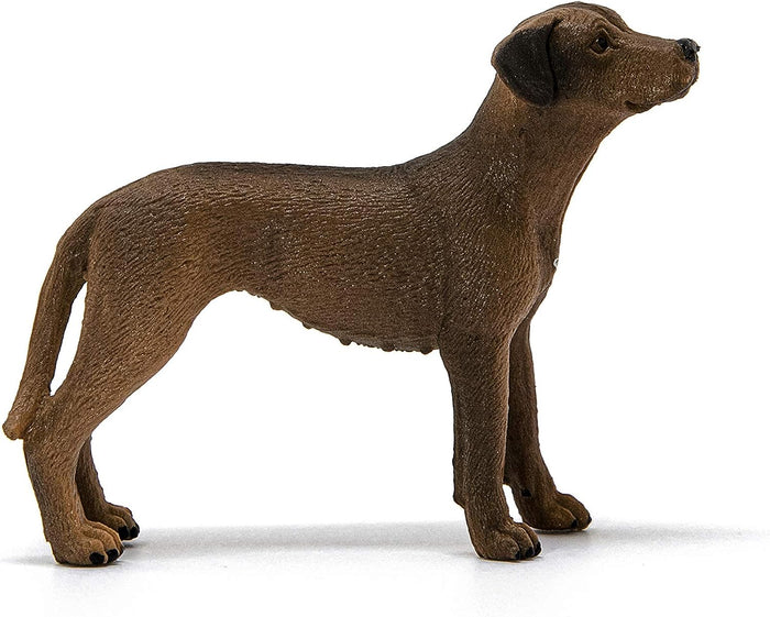 Schleich - Rhodesian Ridgeback