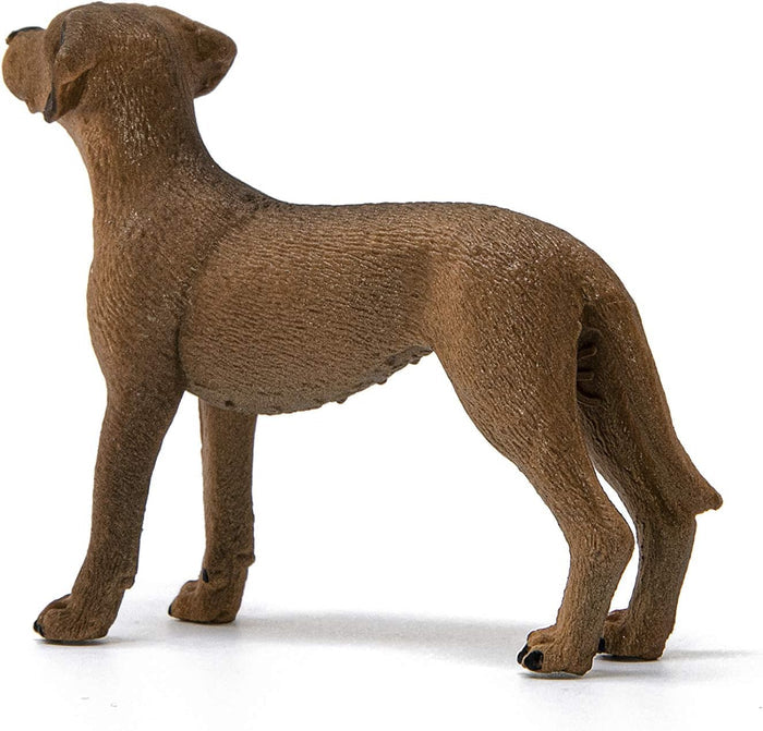 Schleich - Rhodesian Ridgeback