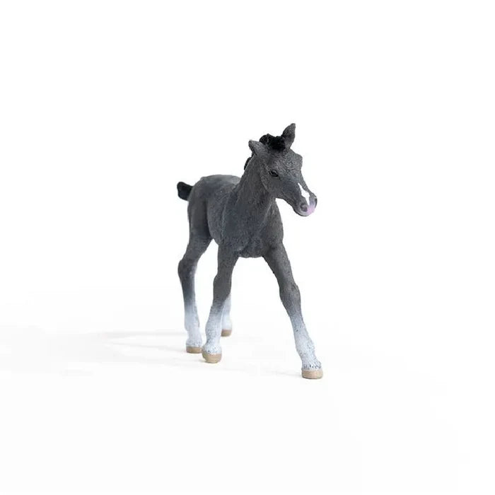 Schleich - Trakehner Foal