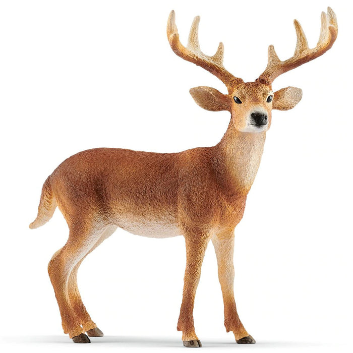 Schleich - White-Tailed Buck