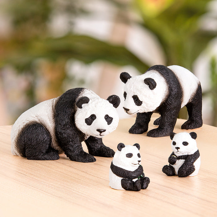 Terra - Panda Family