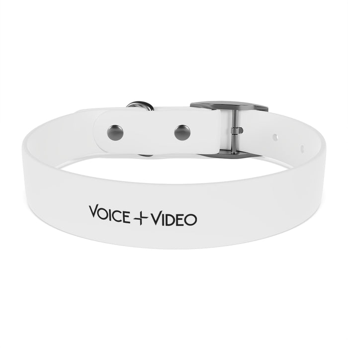 V+V Dog Collar - Voice and Video Sales