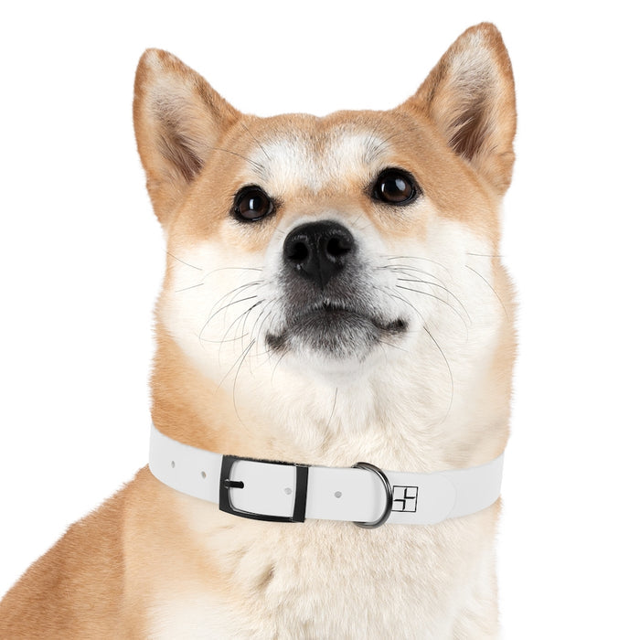 V+V Dog Collar - Voice and Video Sales