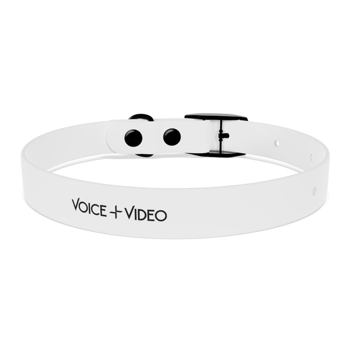 V+V Dog Collar - Voice and Video Sales