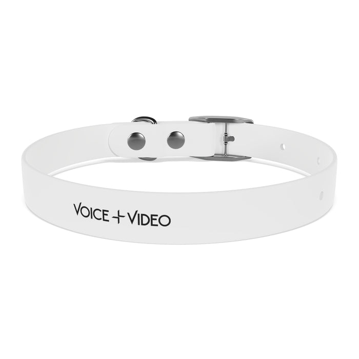 V+V Dog Collar - Voice and Video Sales