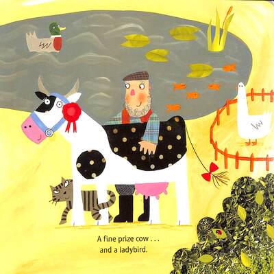 What the Ladybird Heard Board Book